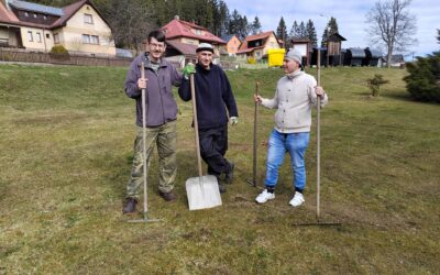 úklid areálu